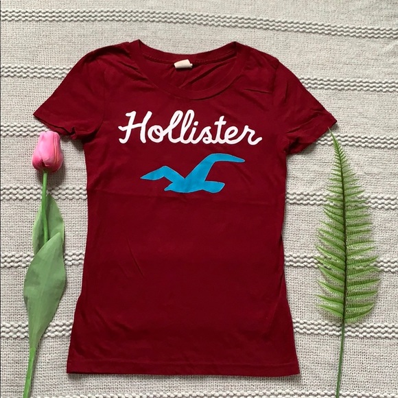 Hollister Tops - 2/$10 🌸 Hollister T shirt 🌸